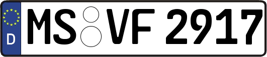 MS-VF2917