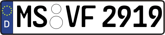 MS-VF2919