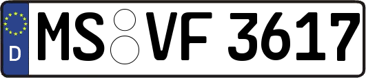 MS-VF3617