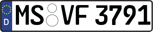 MS-VF3791