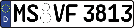 MS-VF3813