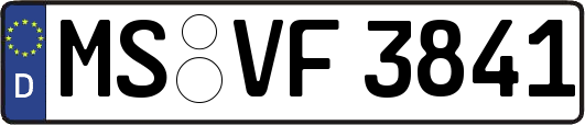 MS-VF3841
