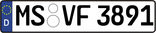 MS-VF3891