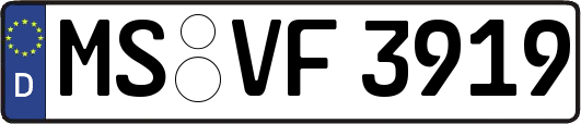 MS-VF3919