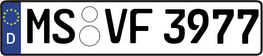 MS-VF3977