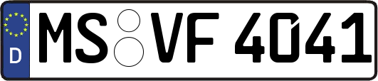MS-VF4041