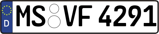 MS-VF4291