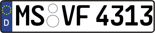MS-VF4313