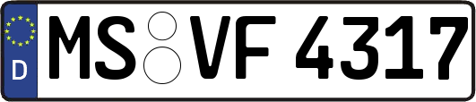 MS-VF4317