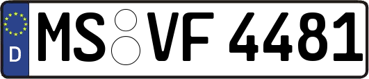 MS-VF4481