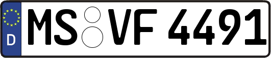 MS-VF4491