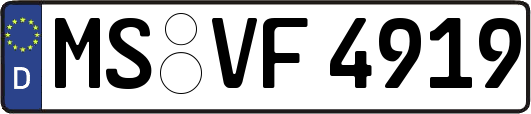 MS-VF4919