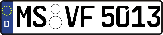 MS-VF5013