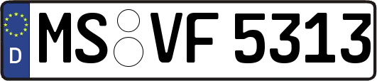 MS-VF5313