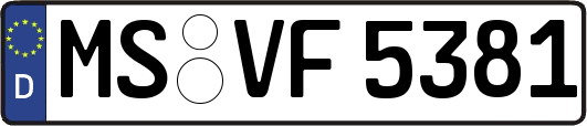 MS-VF5381