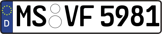 MS-VF5981