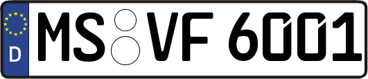 MS-VF6001