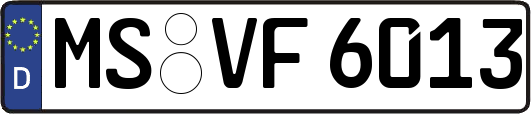MS-VF6013