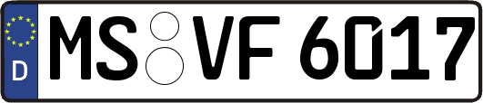 MS-VF6017
