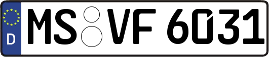 MS-VF6031