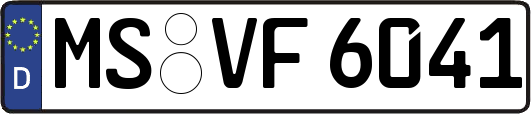 MS-VF6041