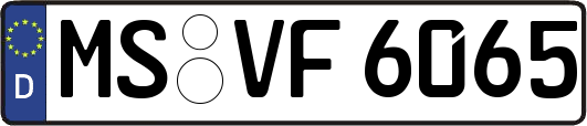 MS-VF6065