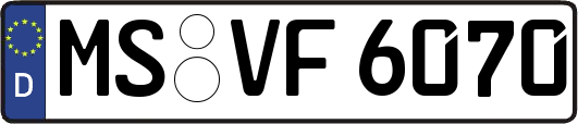 MS-VF6070