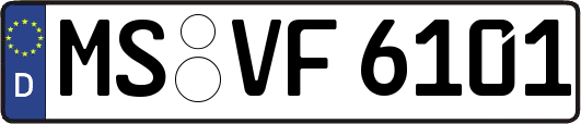 MS-VF6101