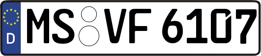 MS-VF6107