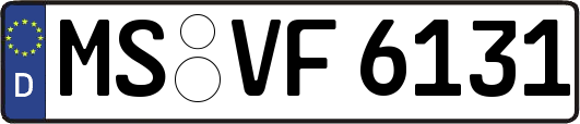 MS-VF6131