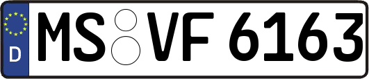 MS-VF6163
