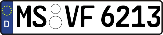 MS-VF6213