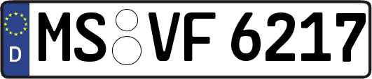 MS-VF6217