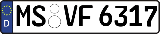 MS-VF6317