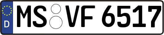 MS-VF6517