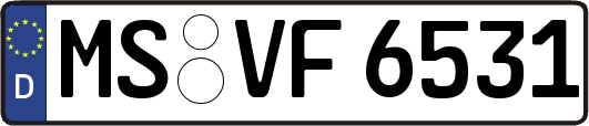 MS-VF6531