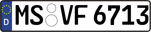 MS-VF6713