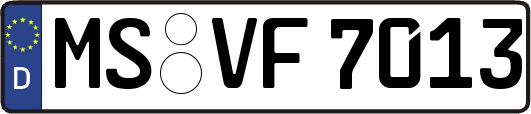 MS-VF7013