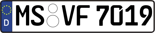 MS-VF7019