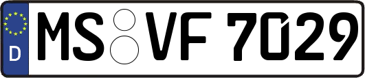 MS-VF7029