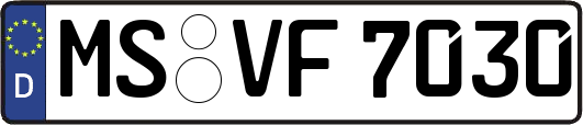 MS-VF7030