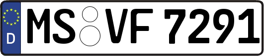 MS-VF7291
