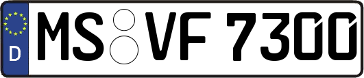 MS-VF7300