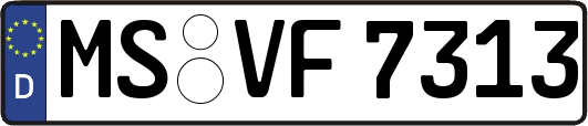 MS-VF7313