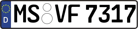 MS-VF7317