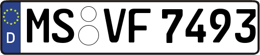 MS-VF7493