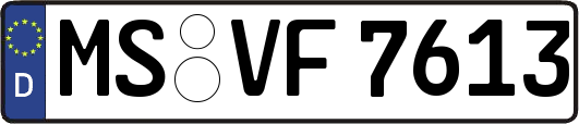MS-VF7613