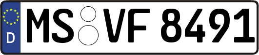 MS-VF8491