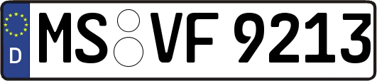 MS-VF9213
