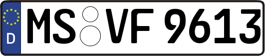 MS-VF9613